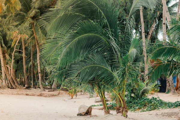 Comment organiser une expédition pour explorer les glaciers de Patagonie, Argentine?