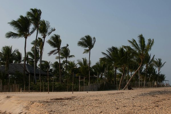 Peut-on trouver des croisières qui propose des ateliers de fabrication de céramiques en Italie?